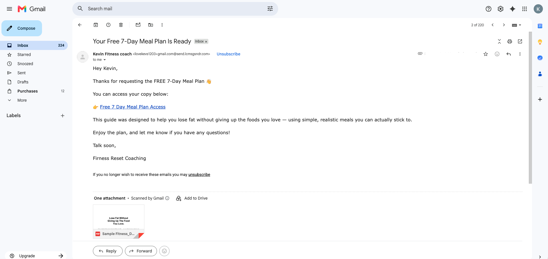 Fit Reset Access Email — screenshot from the FB Comment-to-DM & Quick Reply Bot build