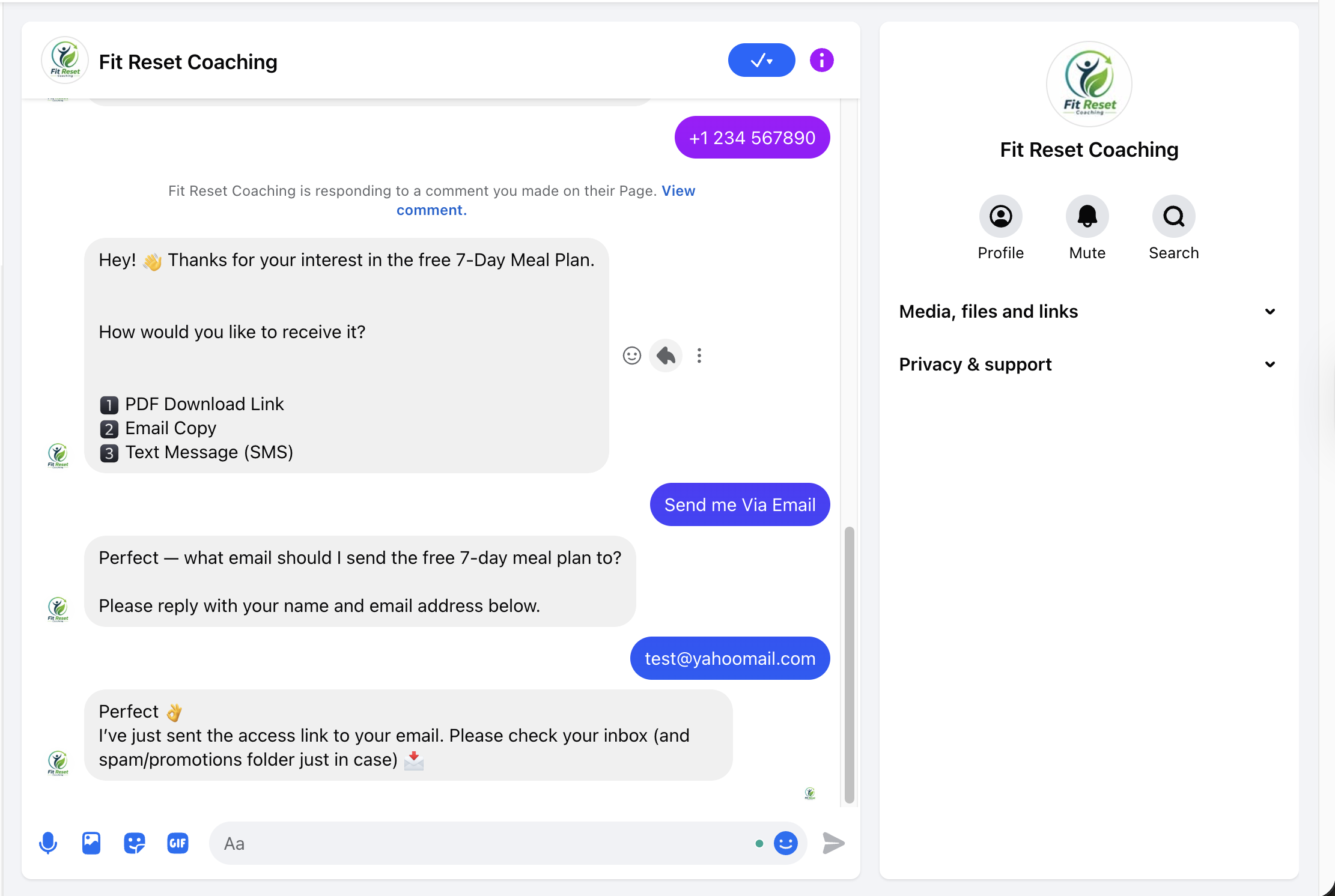 Messenger Chat Follow-Up — screenshot from the FB Comment-to-DM & Quick Reply Bot build